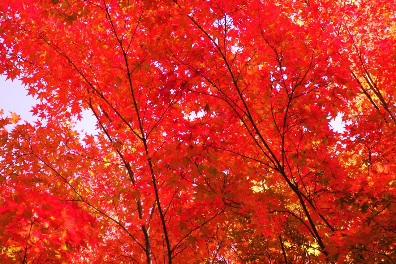Kishutetsudo Karuizawa Hotel Tsumagoi Eksteriør bilde